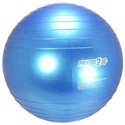 Gym Ball 60cm (Blue)