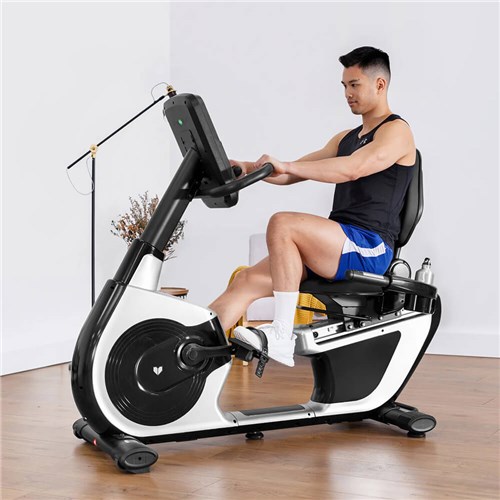 Lifespan fitness recumbent bike 2025