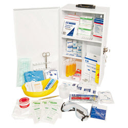 General Workplace Kit in a Wall Mounted Metal Cabinet