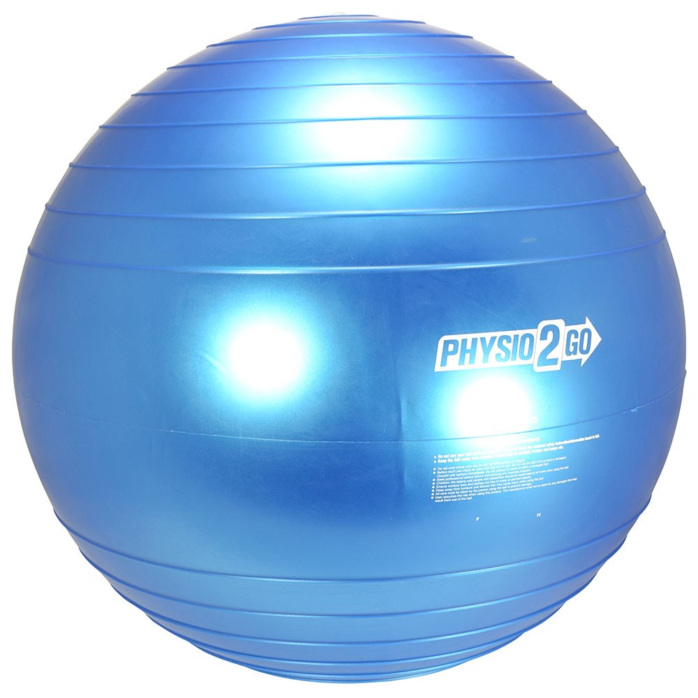 Physio gym ball 2025