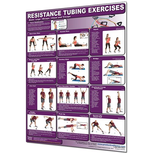 Resistance Tubing Back/Legs/Biceps/Chest/Triceps Poster Laminated