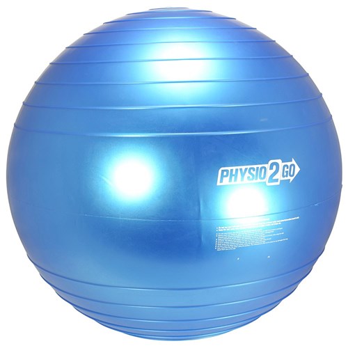 Gym Ball 60cm (Blue)