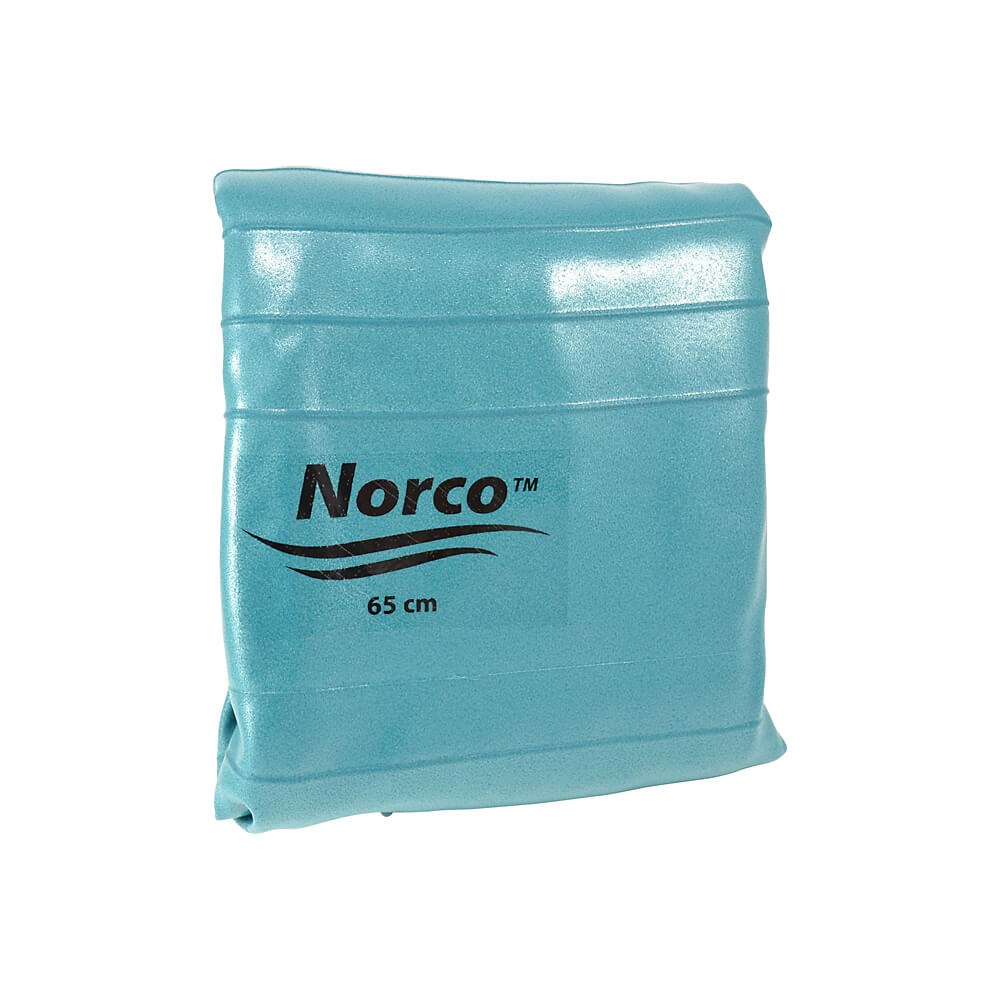 Norco Exercise Ball Alpha Sport